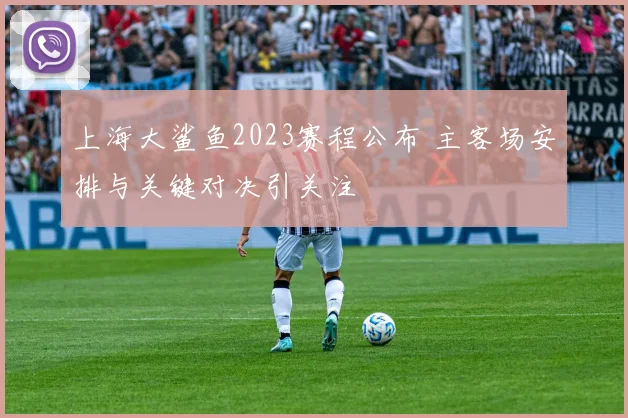 上海大鲨鱼2023赛程公布 主客场安排与关键对决引关注