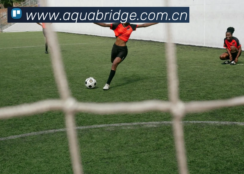 pg.cm国际平台生态图